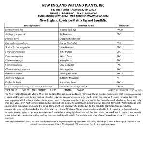 New England Roadside Matrix Upland Seed Mix